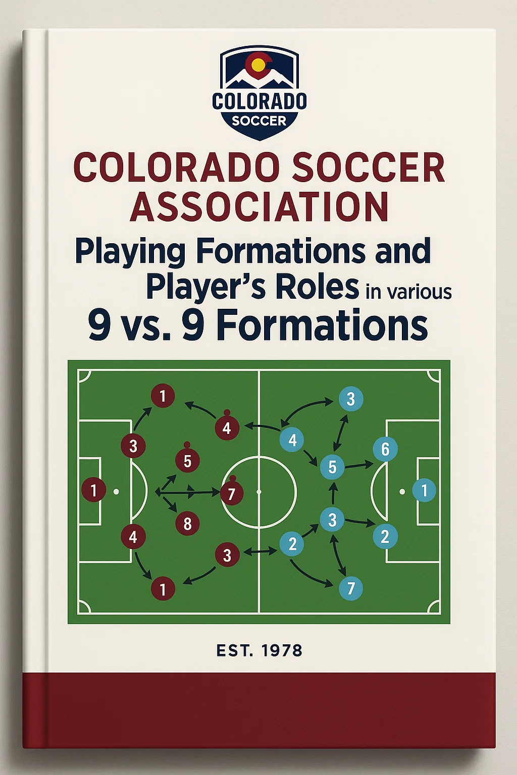 Mastering the 9v9 Game: A Blueprint for Player Development and Tactical Understanding