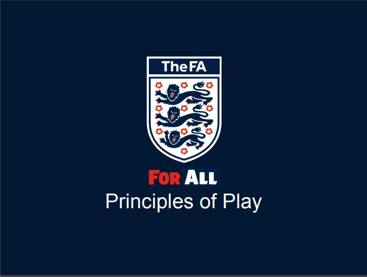PRINCIPLES OF PLAY PDF